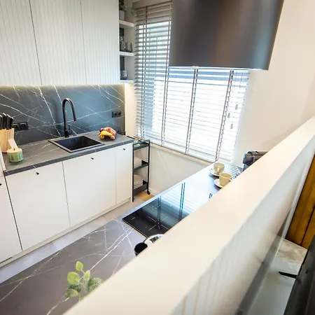 Navigare * Гдыня